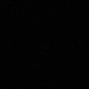 Meet your Posher, Priscilla